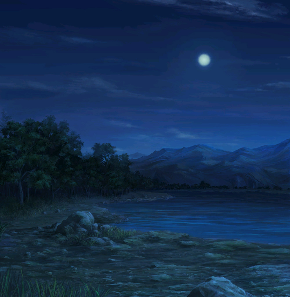 17 - Noche
