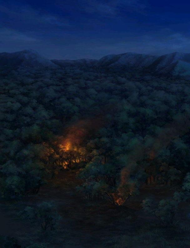 69 - Bosque de Serenes quemandose
