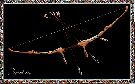 Nombre del archivo=Parthia.gif
Tamaño del archivo=47KiB
Dimensiones=562x350
Fecha añadida=Abril 13, 2008 Parthia.gif