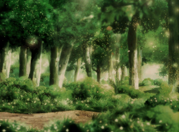 10 - Bosque de Serenes
