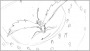 m06_21_1.png
