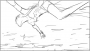 m06_38_1.png